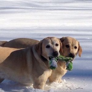 Meet your Posher, Joan